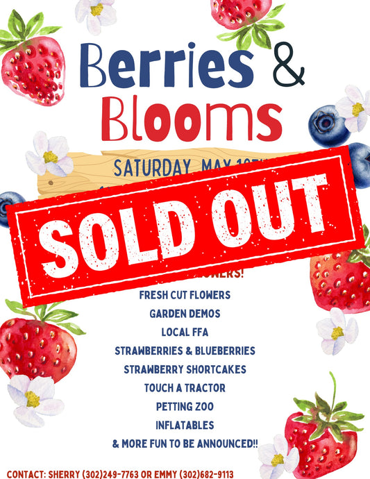 Berries & Blooms